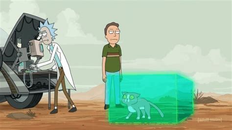 rick and morty sprechende katze|Rick and Morty: What Was The Point Of The Talking。